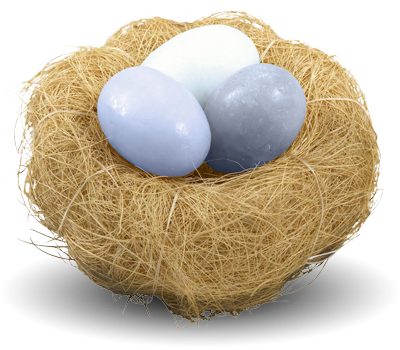 white eggs in brown nest